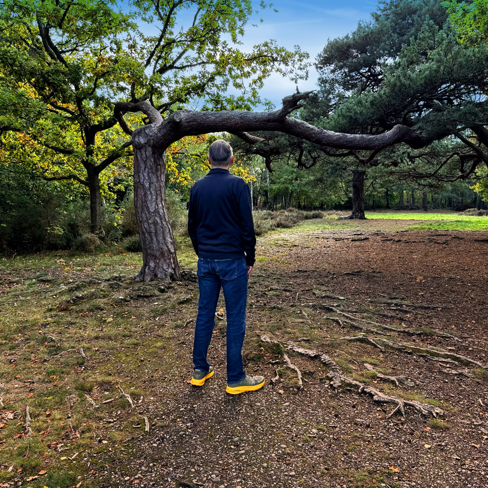 Axiomatic album cover